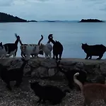 'by The Sea' Διαμέρισμα