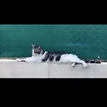 Διαμέρισμα 'by The Sea'