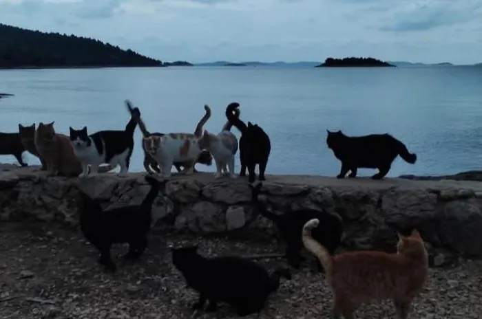 'by The Sea' Appartement