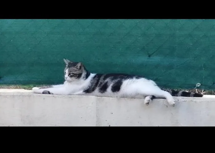 Apartman 'by The Sea'