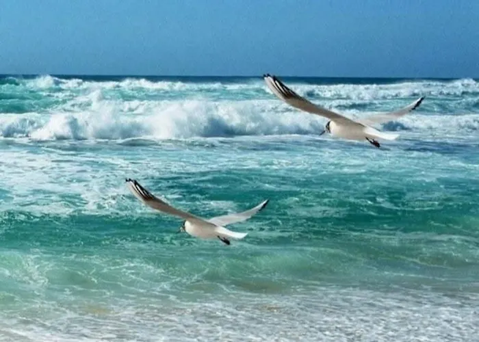 Apartman 'by The Sea' *